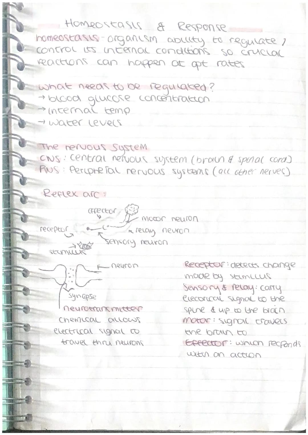 biology paper 2 aqa