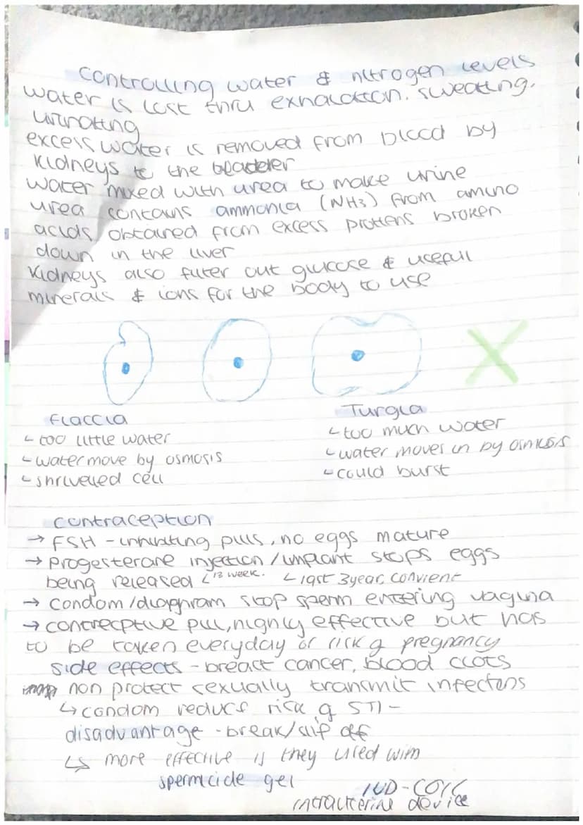Homeostasis & Response
homeostasis-organism ability to regulate,
control its internal conditions
50 спискас
reactions can happen at opt rate