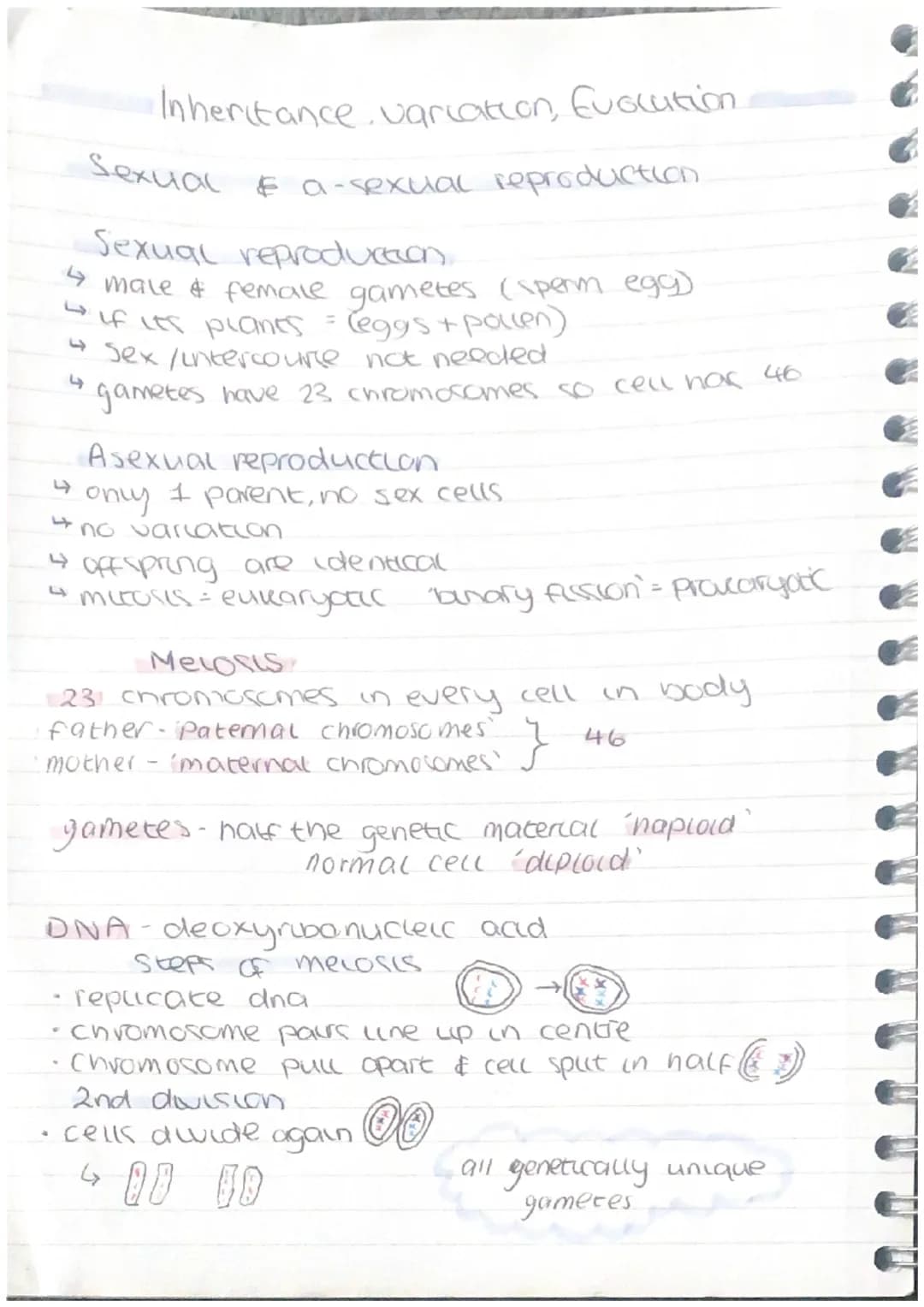 Homeostasis & Response
homeostasis-organism ability to regulate,
control its internal conditions
50 спискас
reactions can happen at opt rate
