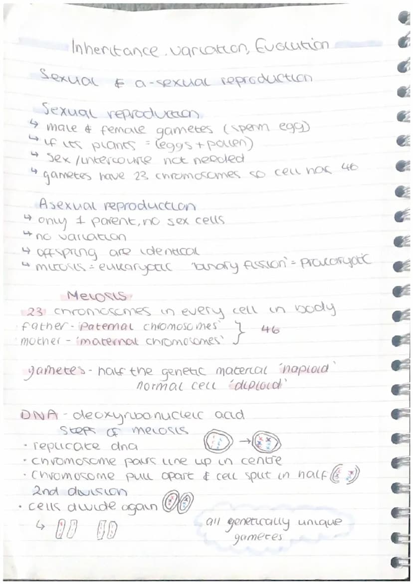 Homeostasis & Response
homeostasis-organism ability to regulate,
control its internal conditions
50 спискас
reactions can happen at opt rate