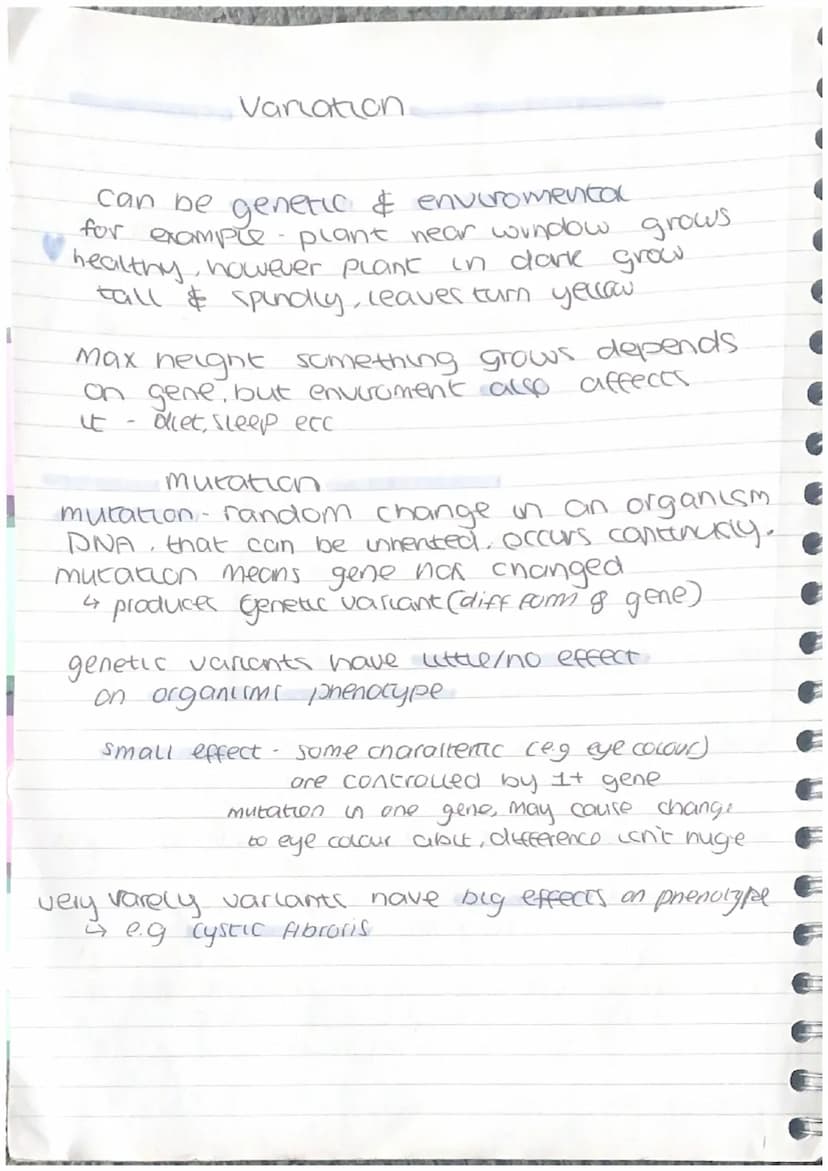 Homeostasis & Response
homeostasis-organism ability to regulate,
control its internal conditions
50 спискас
reactions can happen at opt rate