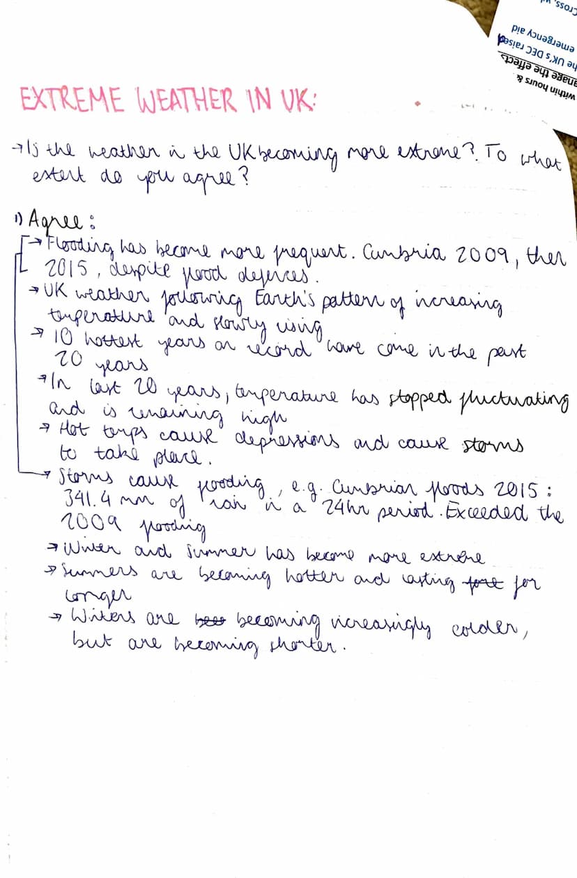 // PAPER 1 CASE STUDIES
этие elects у ворисол ното сам це геаuced by the
3 P's Planning; Prediction, Protection (and monitoring).
Manitoring