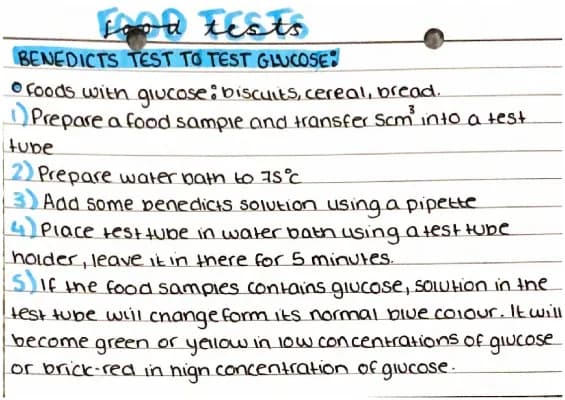 Know Food Tests thumbnail