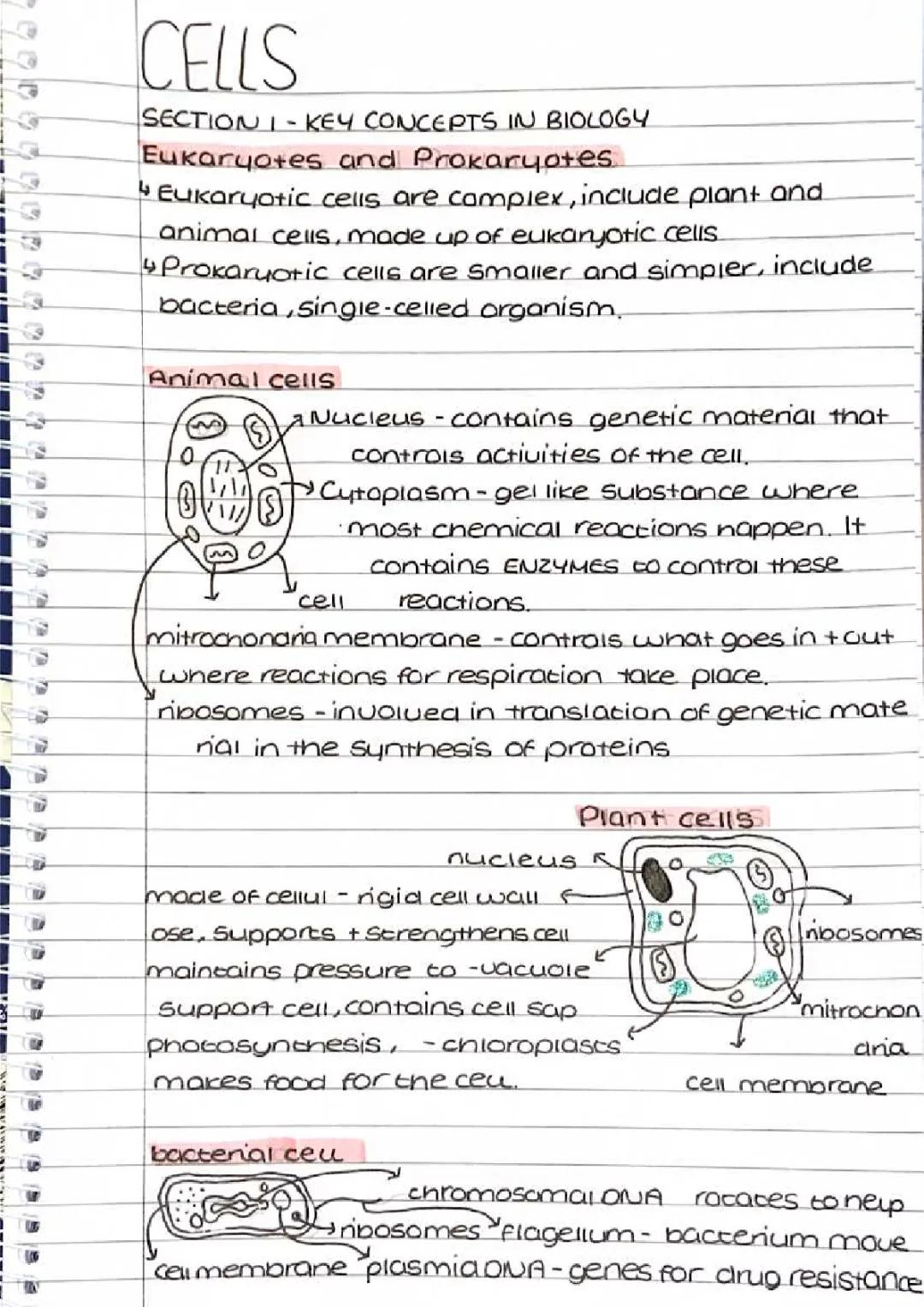 CELLS - BIOLOGY PAPER 1