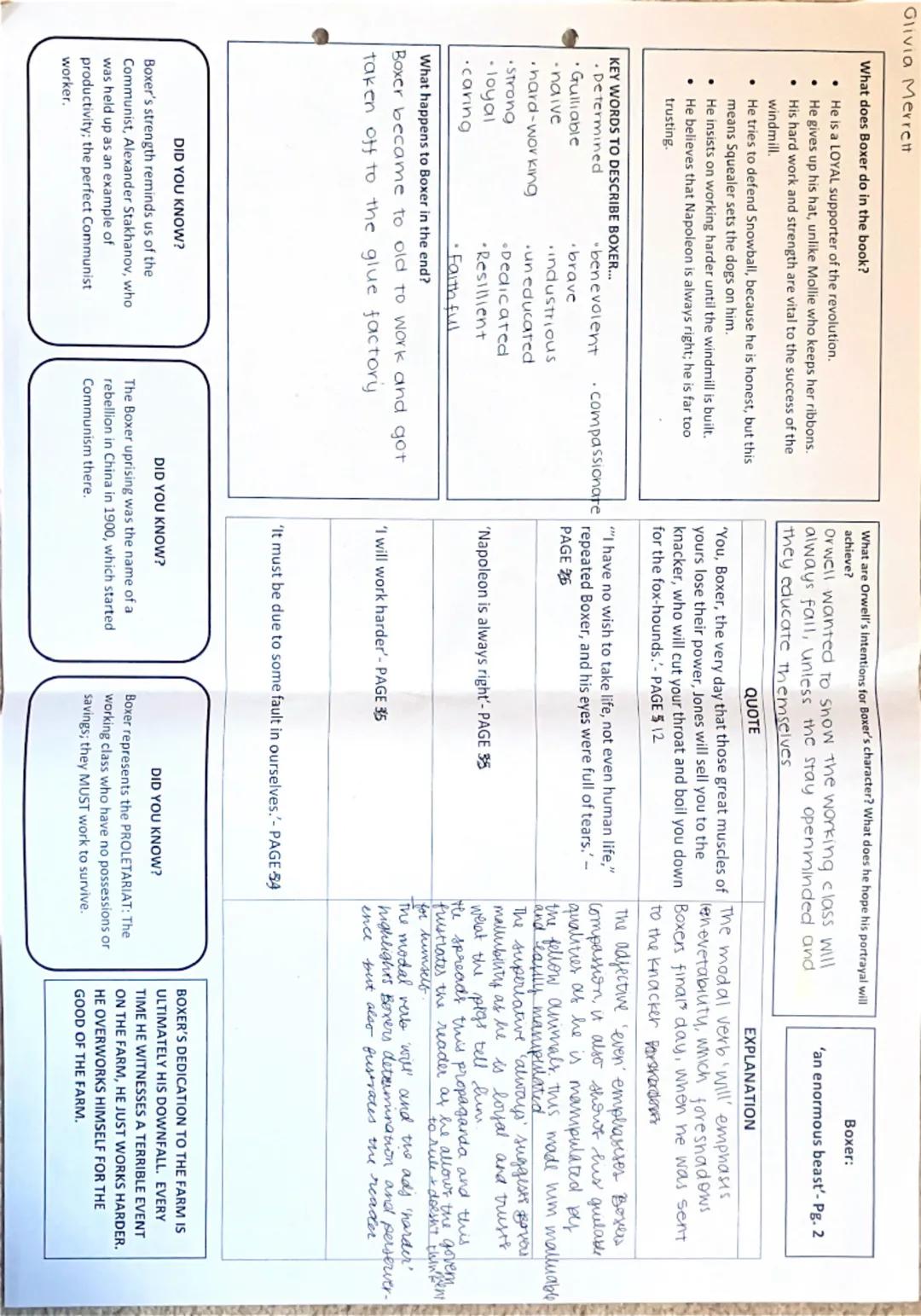 Olivia Merrett

What does Boxer do in the book?
*   He is a LOYAL supporter of the revolution.
*   He gives up his hat, unlike Mollie who ke