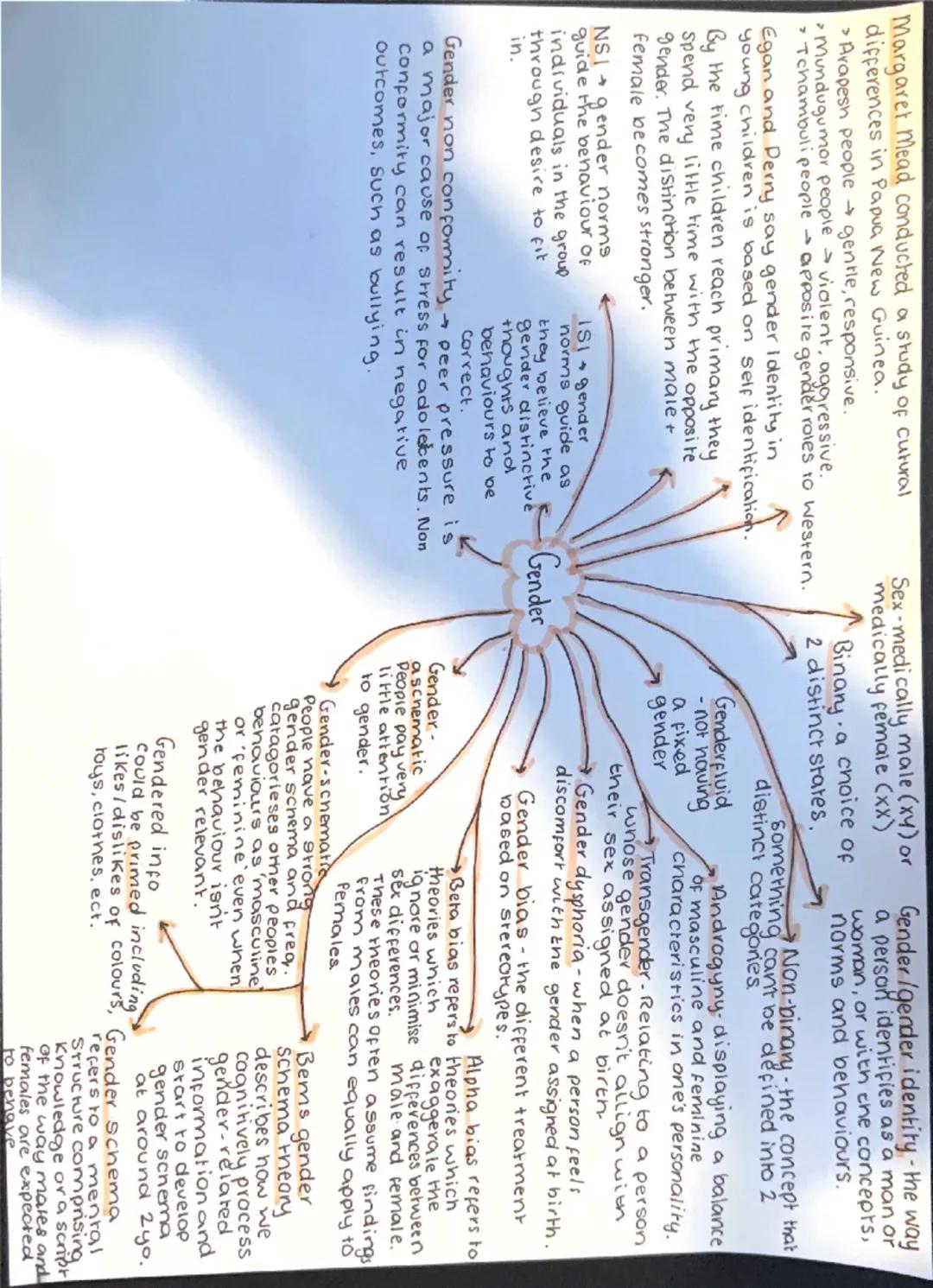 Margaret Mead conducted a study of cutural
differences in Papua New Guinea.
> Arapesh people gentle, responsive.
Mundugumor people violent, 