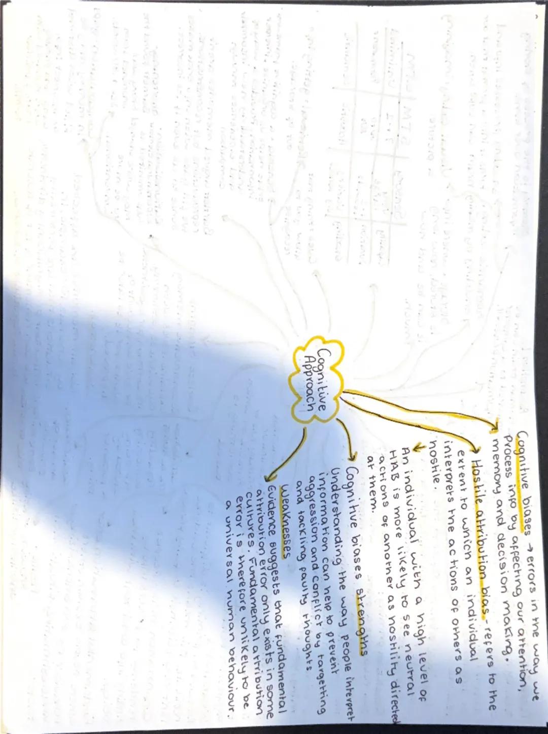 Margaret Mead conducted a study of cutural
differences in Papua New Guinea.
> Arapesh people gentle, responsive.
Mundugumor people violent, 