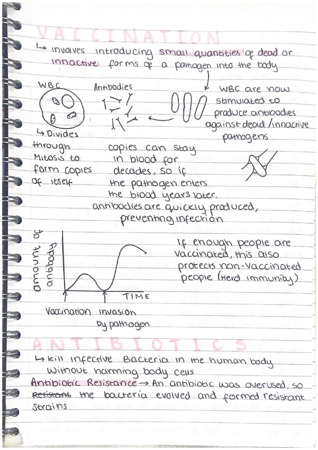 AQA BIOLOGY INFECTION AND RESPONSE