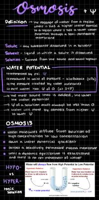 Know Osmosis and water potential thumbnail