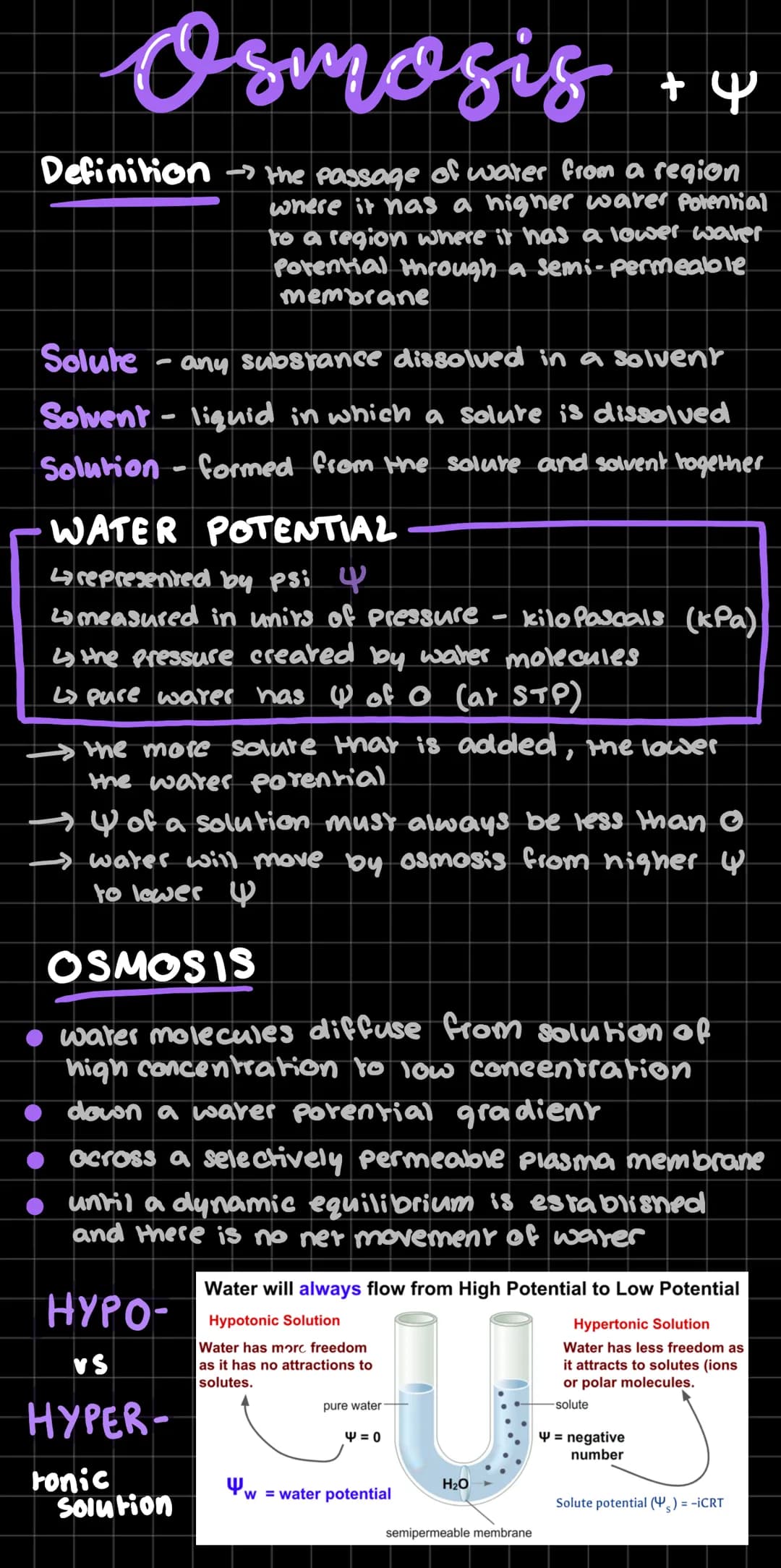 Osmosis
+ 4
Definition the passage of water from a region
where it has a higher warer Potential
to a region where it has a lower water
Poten