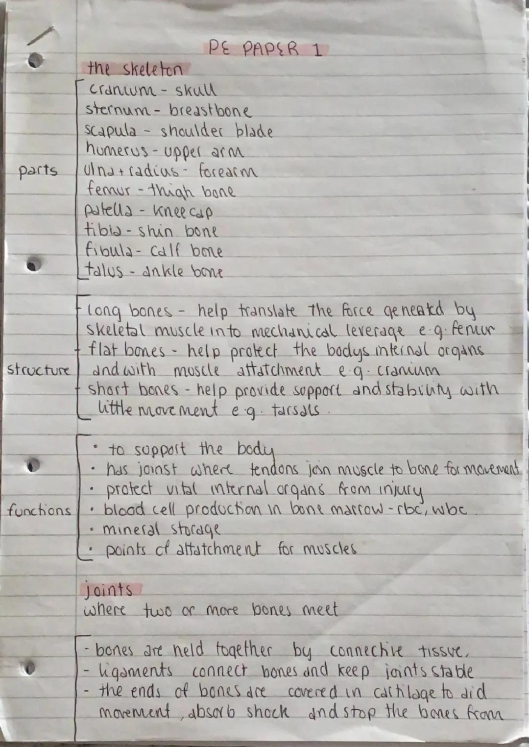 PE PAPER 1

the skeleton
Cranium skull
sternum- breastbone
scapula shoulder blade
humerus - upper arm
parts Ulna+radius- forearm
femur-thigh