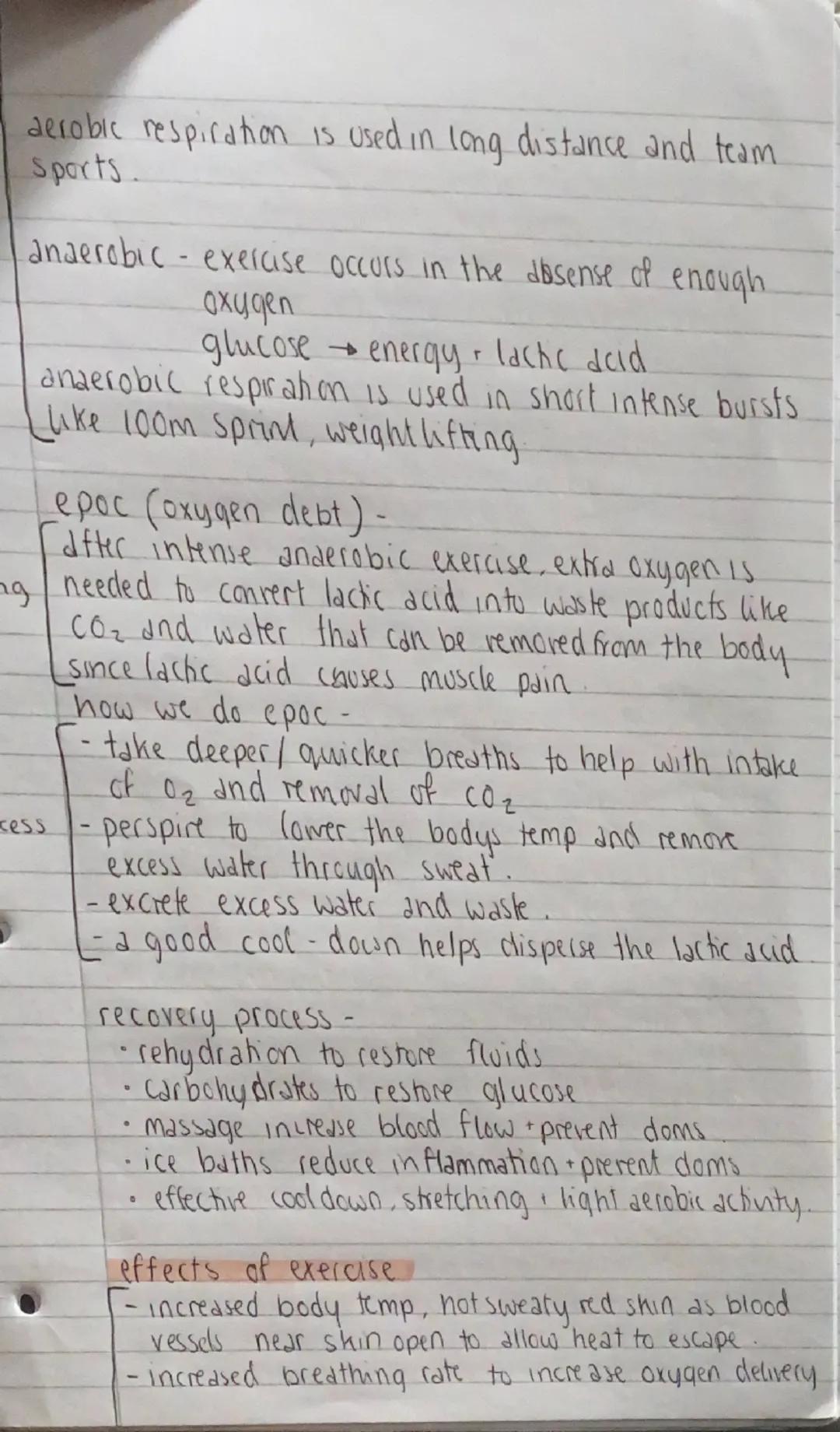 PE PAPER 1

the skeleton
Cranium skull
sternum- breastbone
scapula shoulder blade
humerus - upper arm
parts Ulna+radius- forearm
femur-thigh