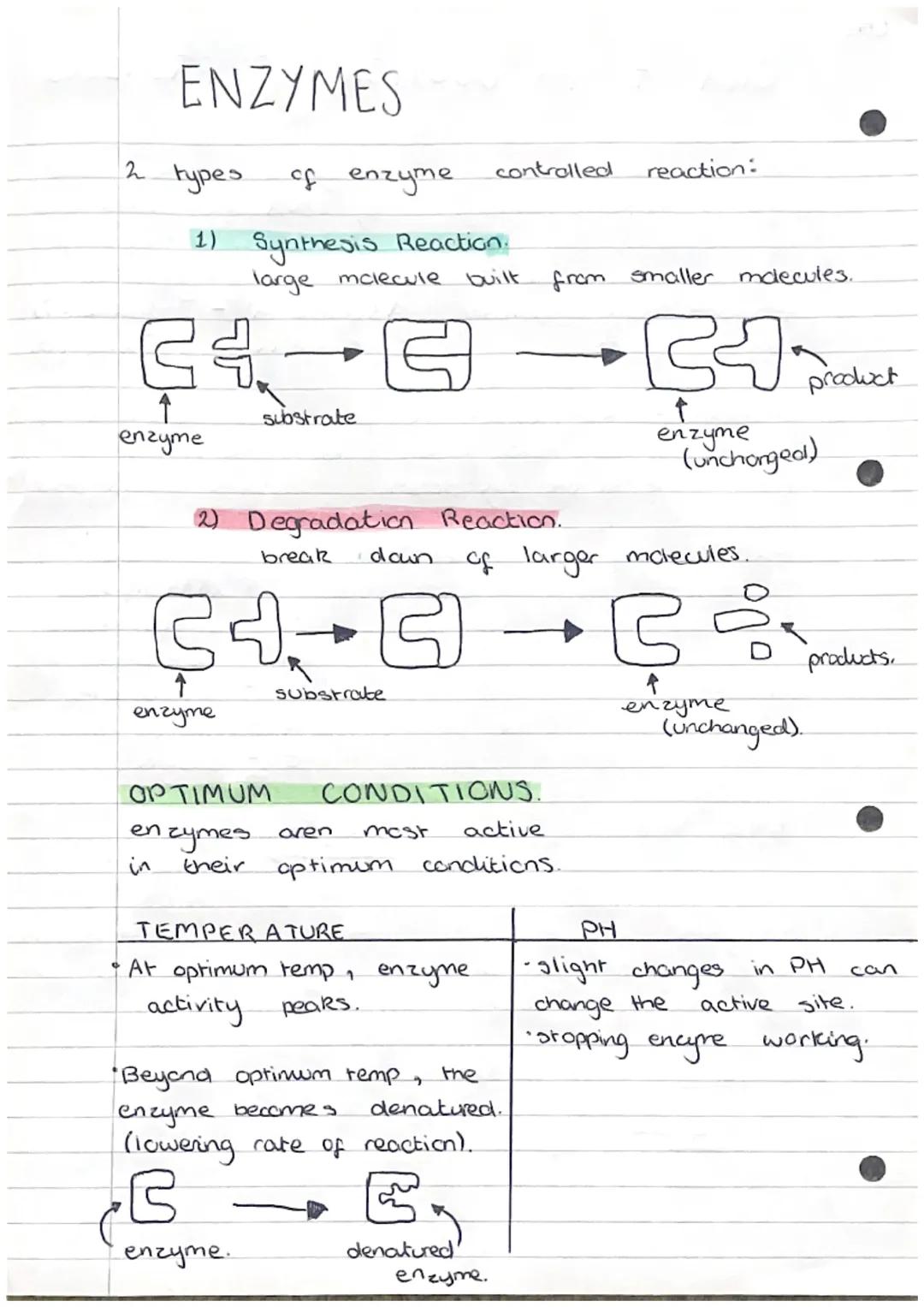 C31
cell
Cell
wall
nucleus
cytoplasm
mitochondria
ribosome
chloroplast
cell membrame- controls entry and exit
of substances.
vacuole -
ribos