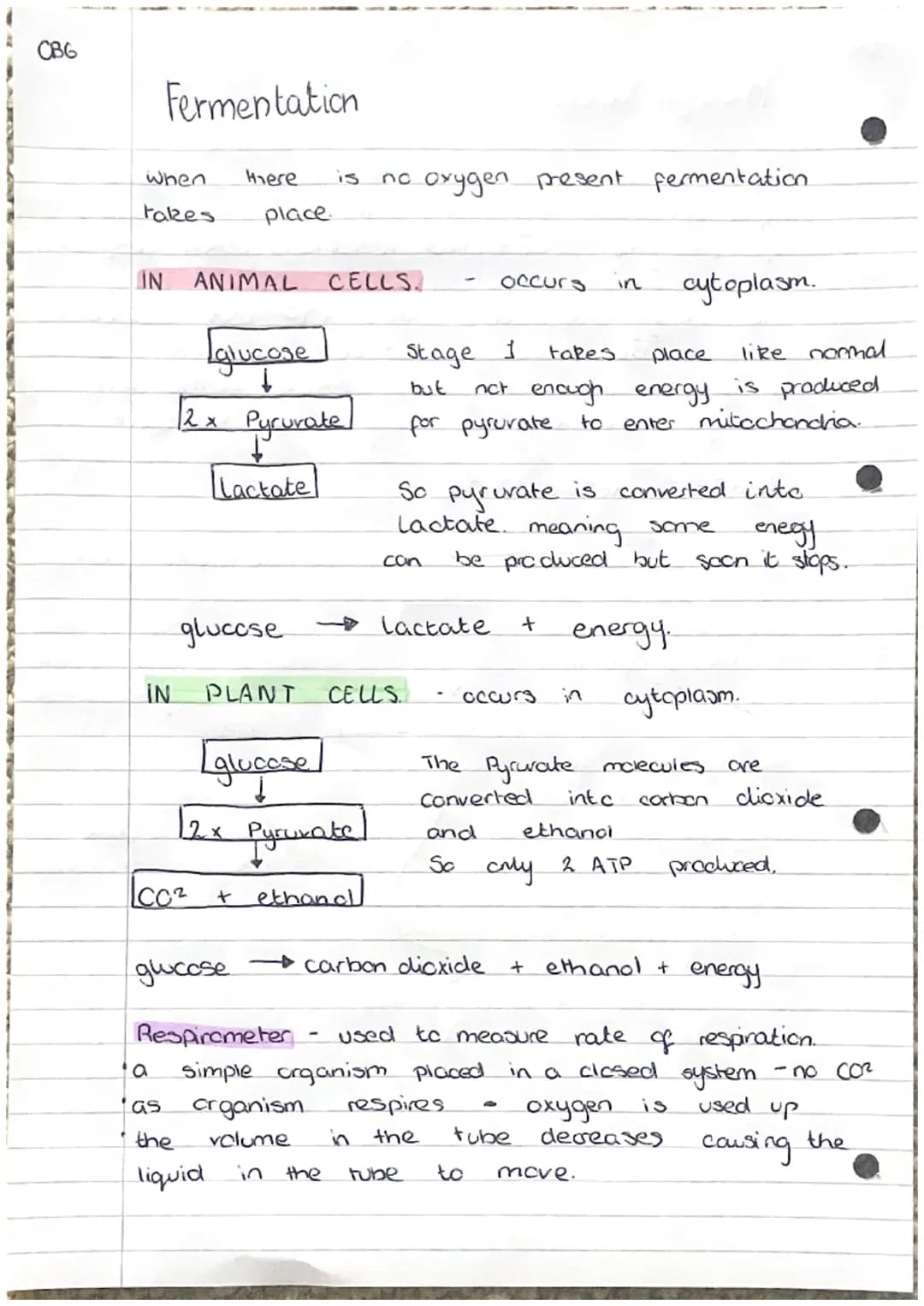 C31
cell
Cell
wall
nucleus
cytoplasm
mitochondria
ribosome
chloroplast
cell membrame- controls entry and exit
of substances.
vacuole -
ribos