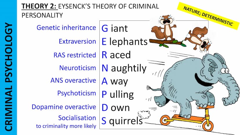 CRIMINAL PSYCHOLOGY
THEORY 1: SOCIAL LEARNING THEORY FOR
CRIMINAL BEHAVIOUR
Role model Really
Identification diotic
Observe Owls
Imitate | m