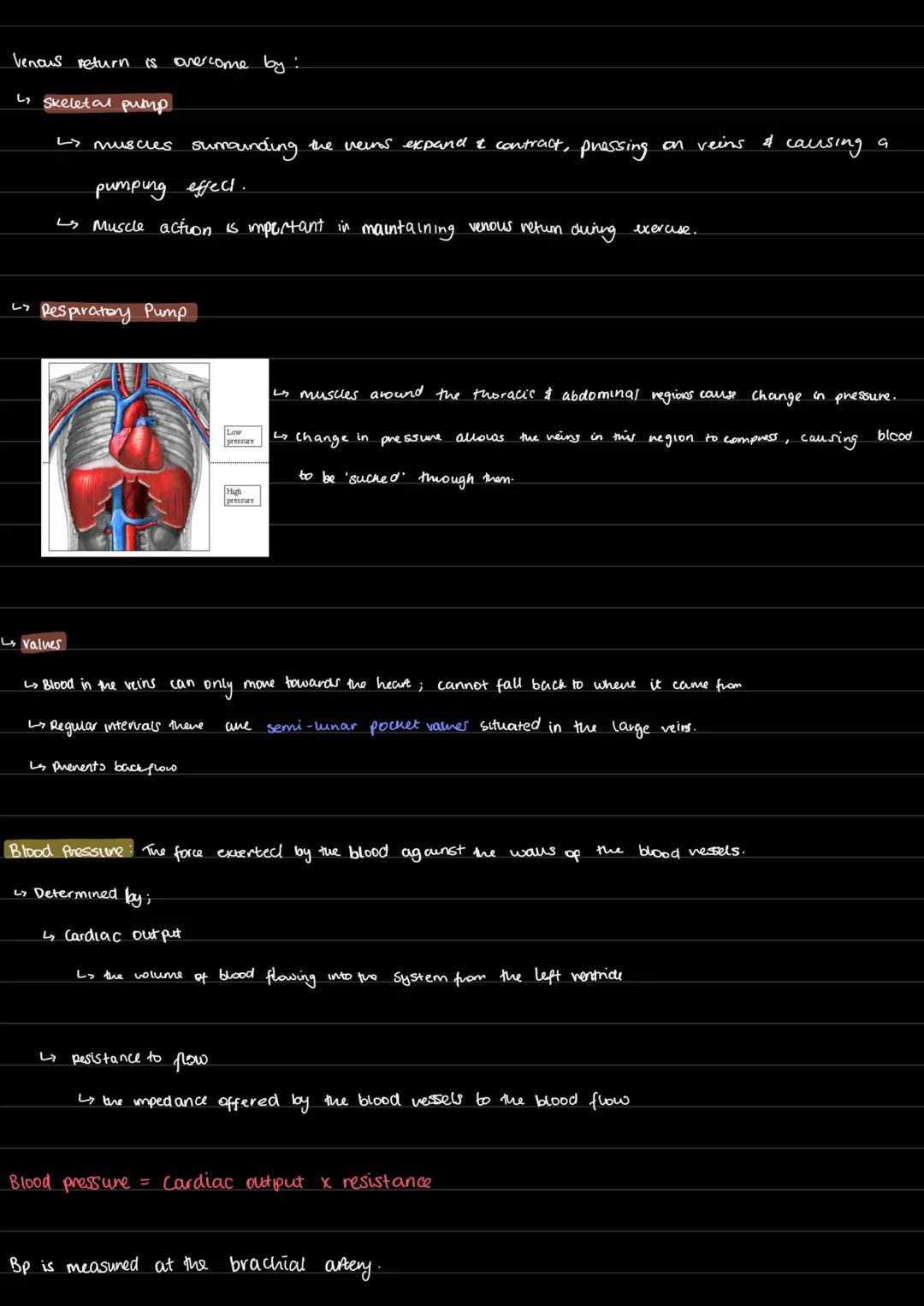 3.1.1.2
Cardiovasular system
Pathway of blood:
Deoxygenated RA
RV
(pulmonary artery) Lungs
Poor Lifestyle 11: high blood pressure.
Strokes
h