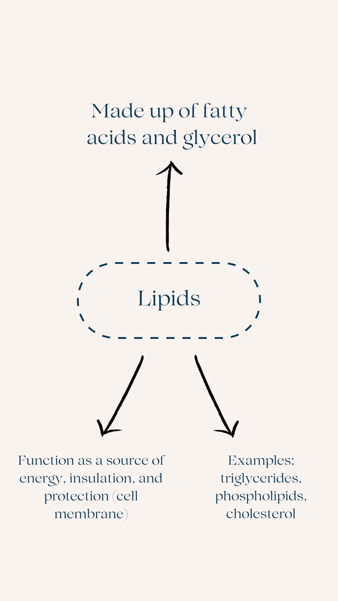 A Level
AQA BIOLOGY
BIOLOGICAL MOLECULES
REVISION GUIDE Made up of
monosaccharides
Carbohydrates i
✓
Function as a source of
energy (glucose