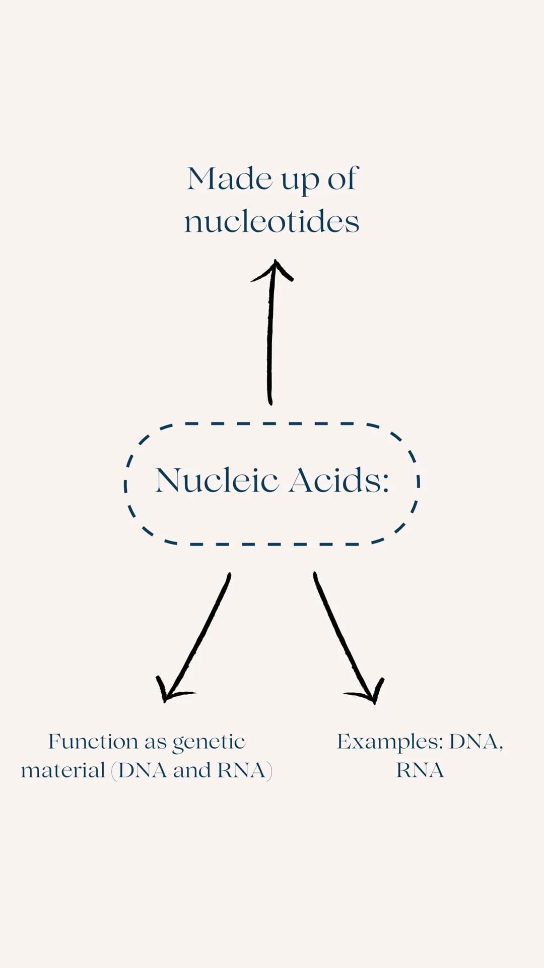 A Level
AQA BIOLOGY
BIOLOGICAL MOLECULES
REVISION GUIDE Made up of
monosaccharides
Carbohydrates i
✓
Function as a source of
energy (glucose