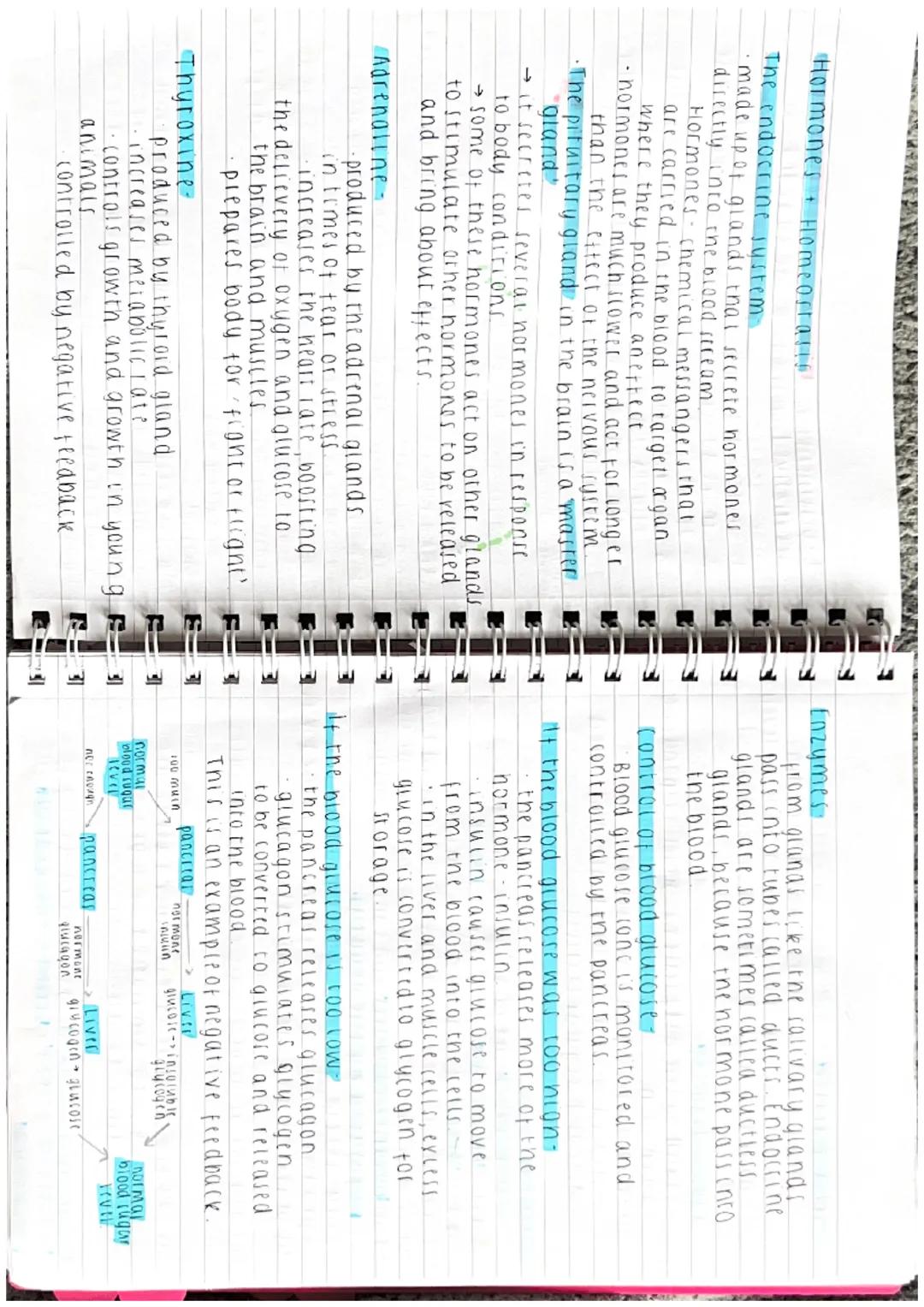TAR
EFFECTS OF LIGHT ON SEEDLINGS
Method -
(1) Split your sample of 20 seedlings into5 groups
of tour
2) Place each group of seedlings into
