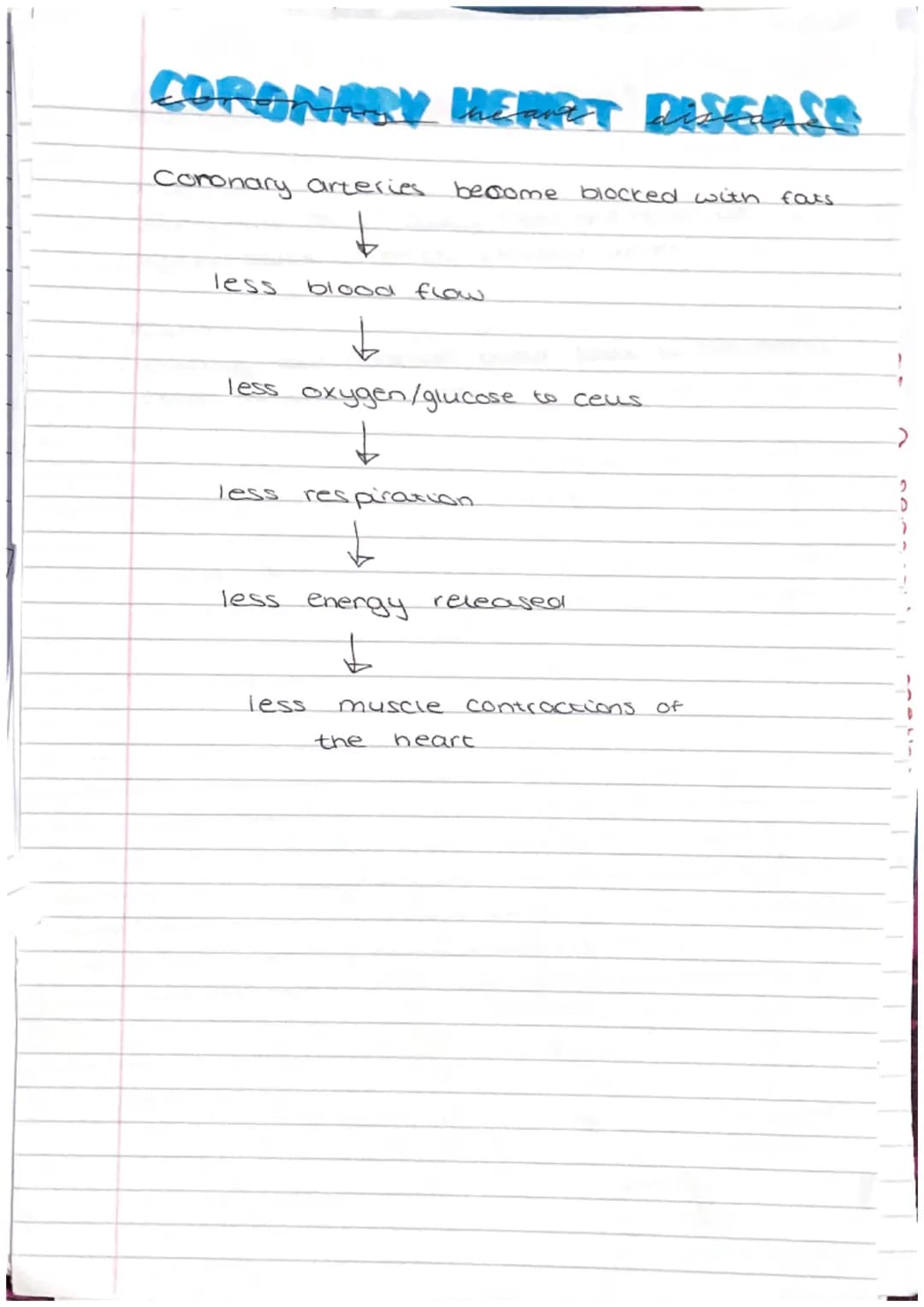 DIGESTIVE SYSTEN
Salivary gland produces amylase enzyme in the saliva.
liver: bule is produced, neutralises stomach acid
and emulsifies fats