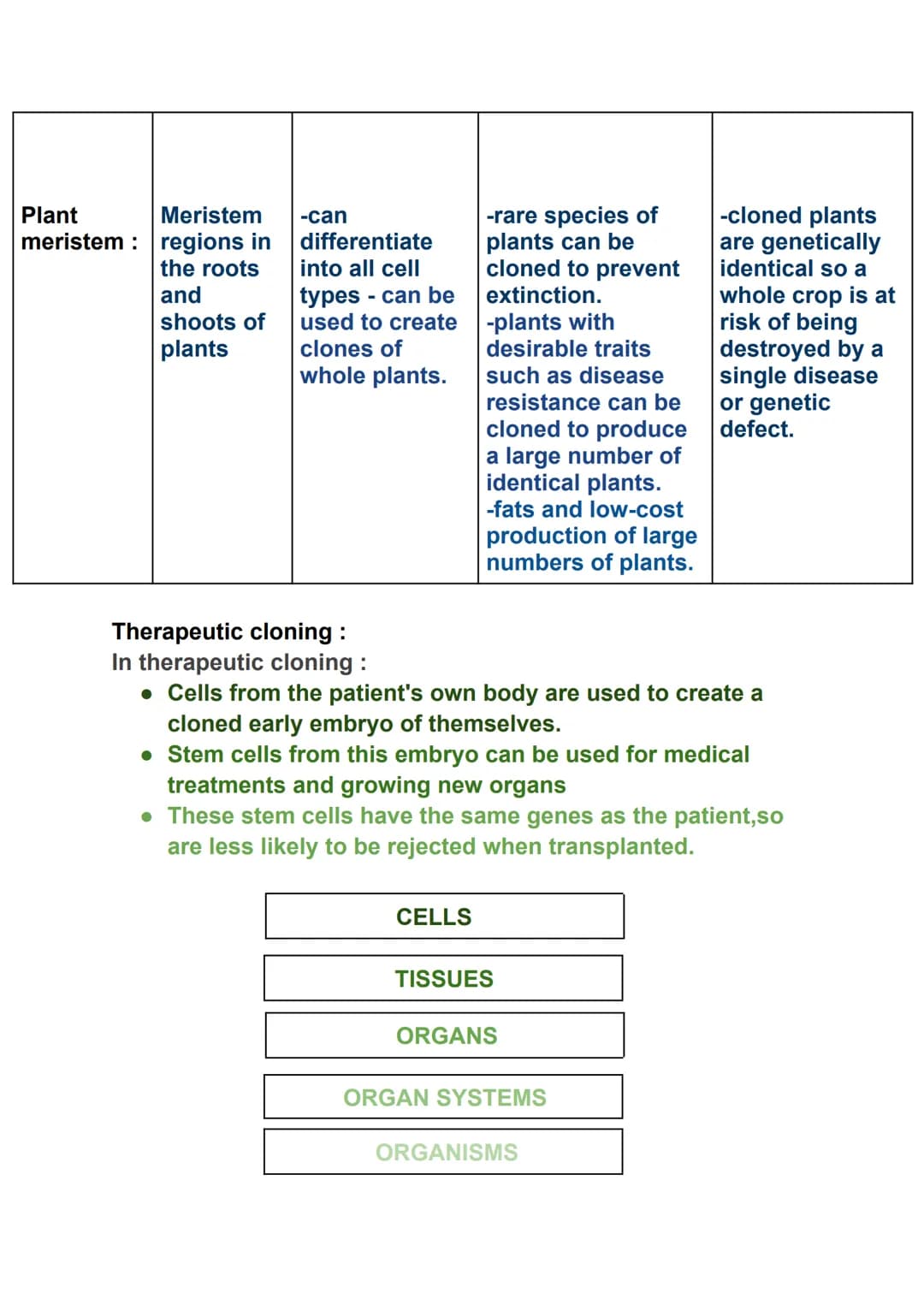 Specialised cell
Sperm cell
Red blood cell
Muscle cell
Nerve cell
Root hair cell
BIOLOGY PAPER 1
Function
fertilise an
ovum(egg)
Transport o