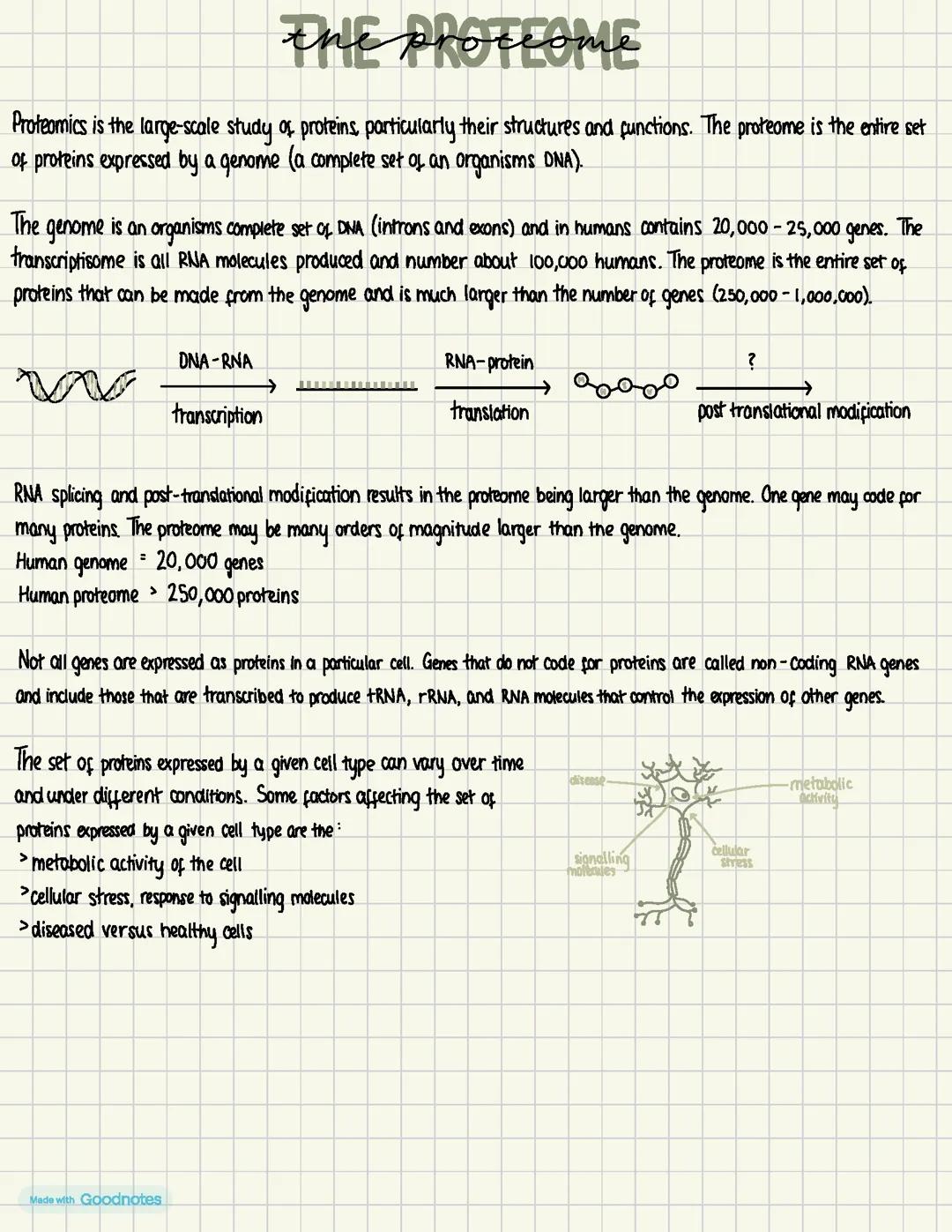 ah biology unit 1 - cells and proteins