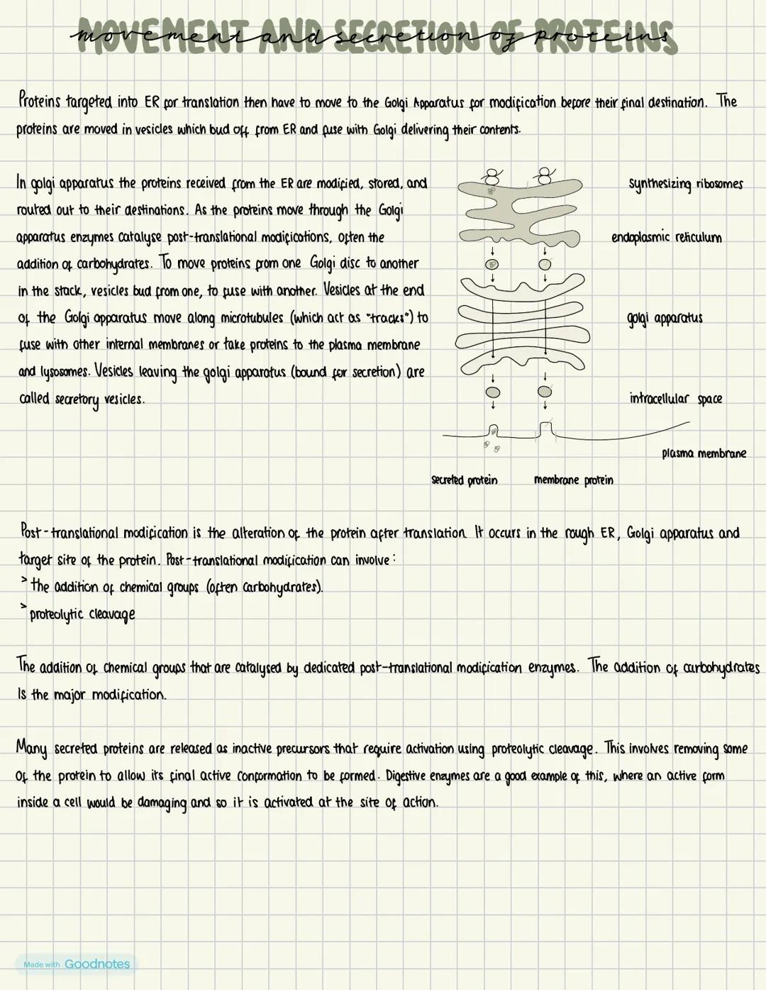 THE PROTEOME
Proteomics is the large-scale study of proteins, particularly their structures and functions. The proteome is the entire set
of