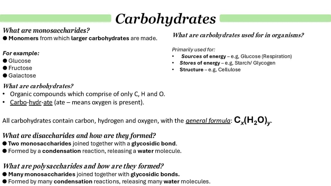 Carbohydrates 