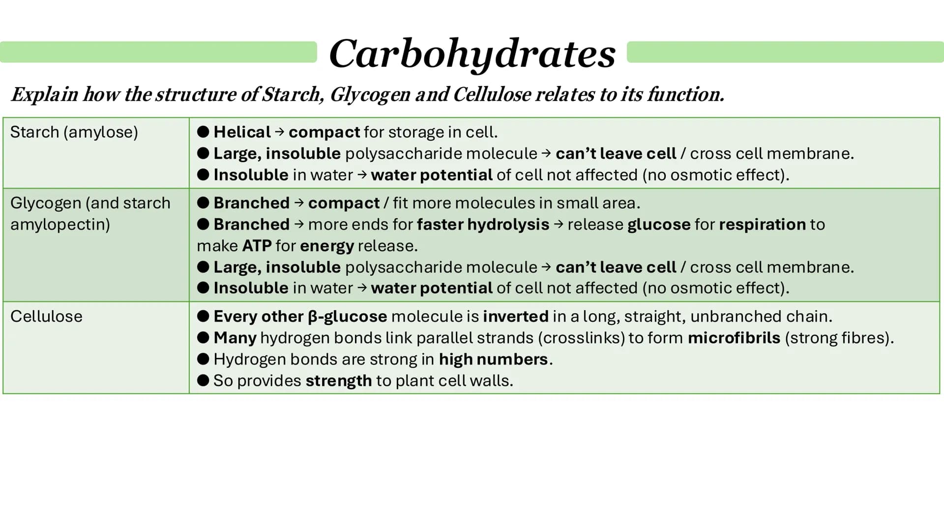 What are monosaccharides?
Carbohydrates
● Monomers from which larger carbohydrates are made.
For example:
•
.
Glucose
Fructose
Galactose
Wha