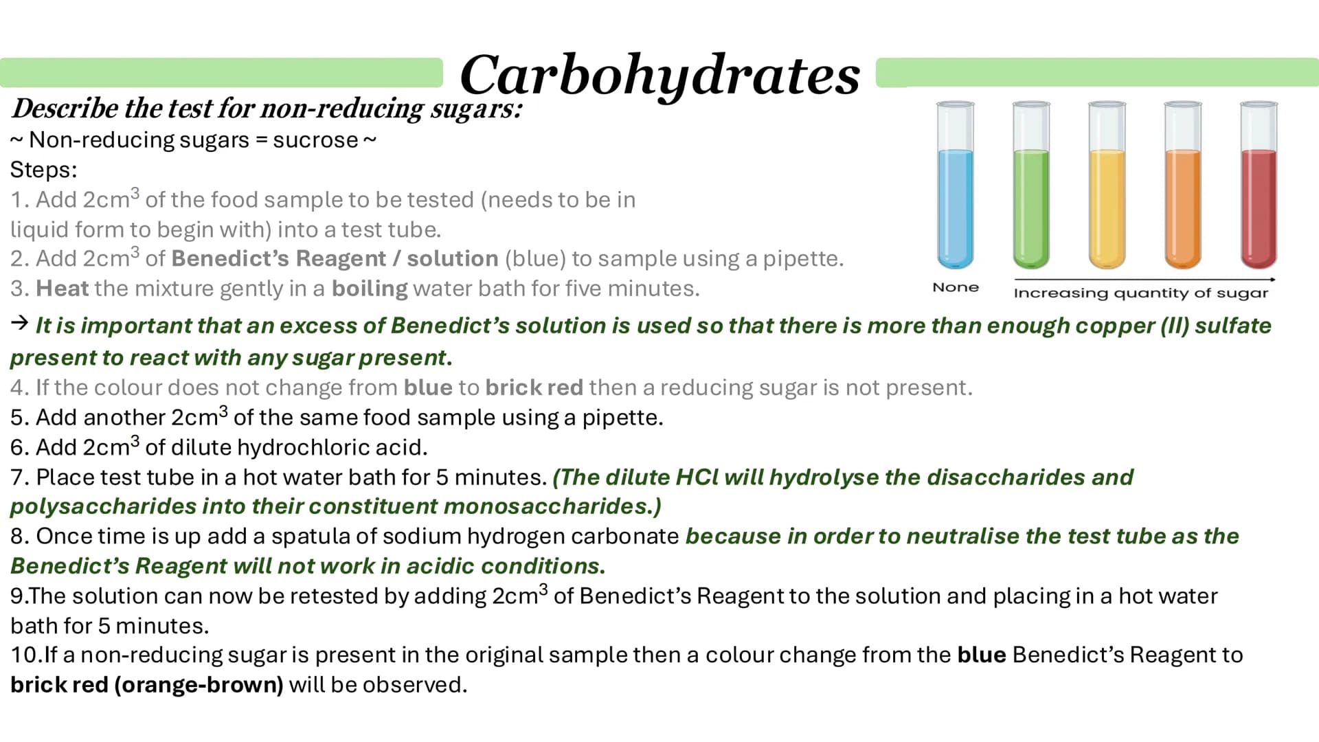 What are monosaccharides?
Carbohydrates
● Monomers from which larger carbohydrates are made.
For example:
•
.
Glucose
Fructose
Galactose
Wha