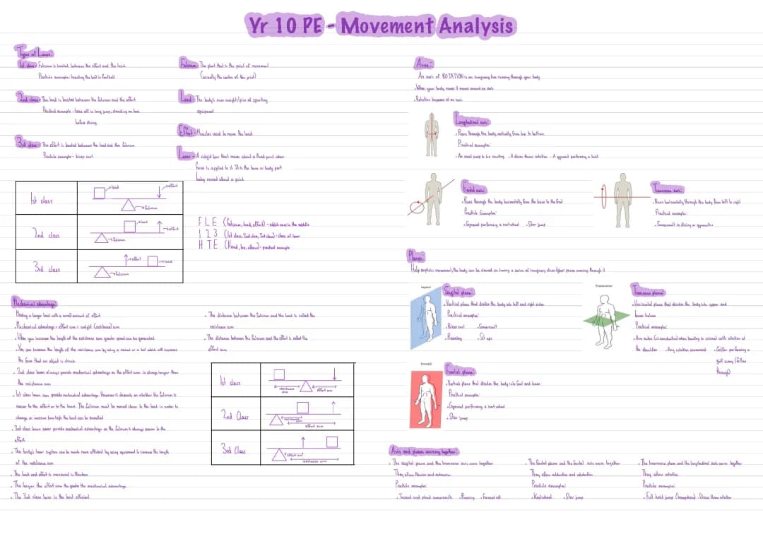 GCSE PE Movement Analysis: Levers, Planes, and Axis (PDF & PPT)