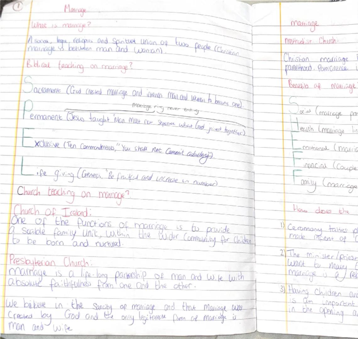 Personal and family issues.

1

Celibacy the deliberate choice to remain Single and not enter into a relationship
Civil the Commitment Same-