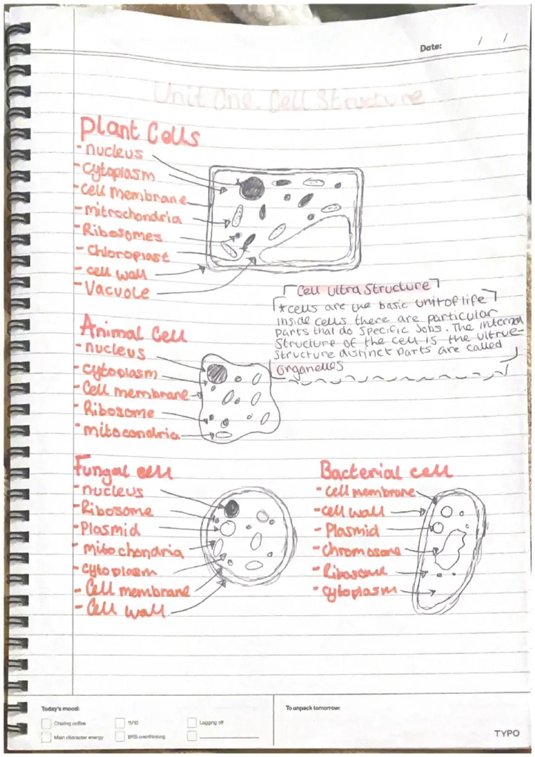 Unit 1 diagrams and revision notes 