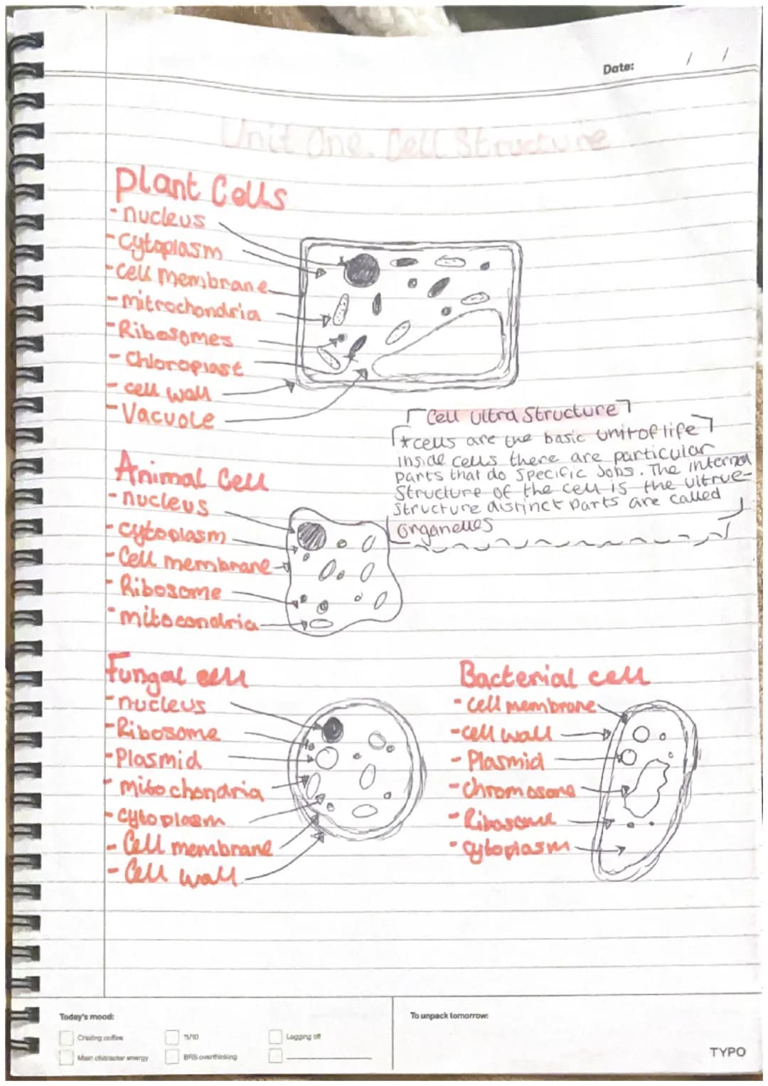 plant Cells
-nucleus
-cytoplasm
cell membrane-
-mitrochondria
Ribosomes
-Chloroplast
- cell wall
-Vacuole
Animal Cell
-nucleus
•cytoplasm.
-