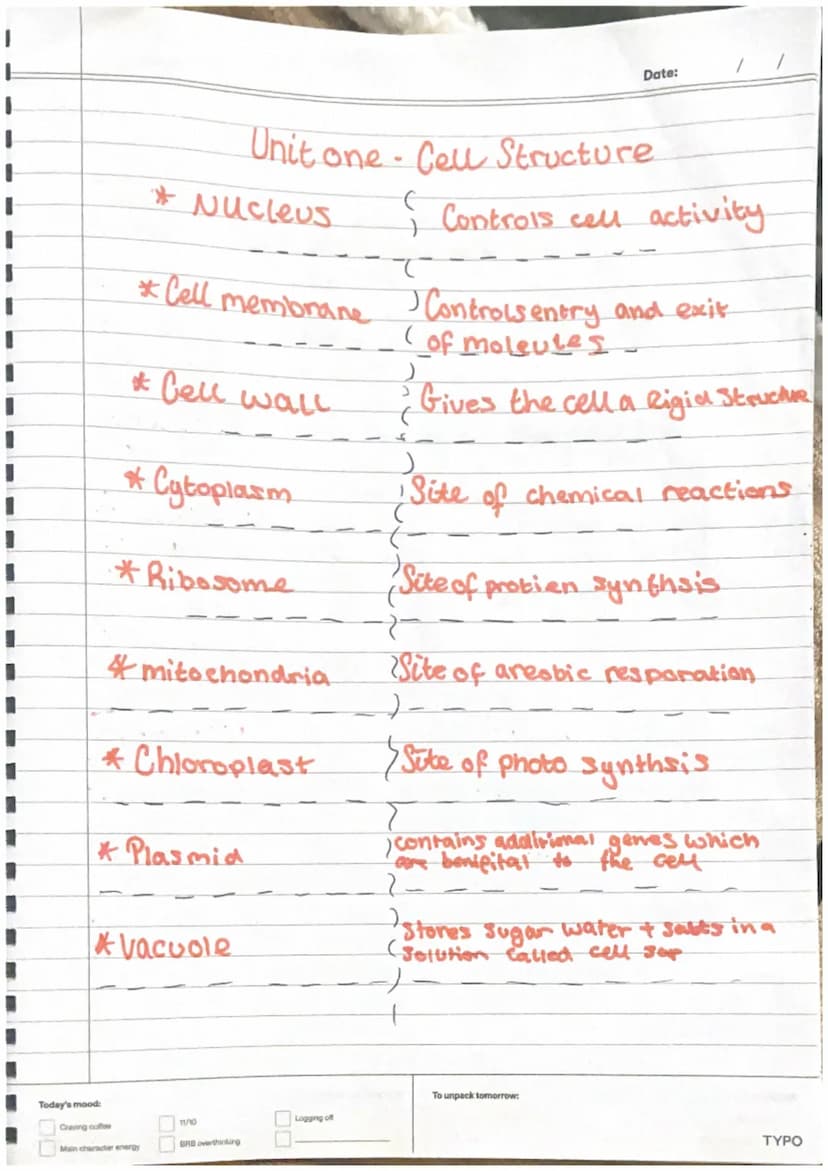 plant Cells
-nucleus
-cytoplasm
cell membrane-
-mitrochondria
Ribosomes
-Chloroplast
- cell wall
-Vacuole
Animal Cell
-nucleus
•cytoplasm.
-