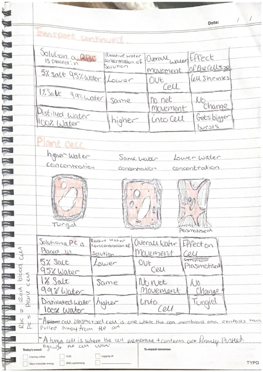 plant Cells
-nucleus
-cytoplasm
cell membrane-
-mitrochondria
Ribosomes
-Chloroplast
- cell wall
-Vacuole
Animal Cell
-nucleus
•cytoplasm.
-
