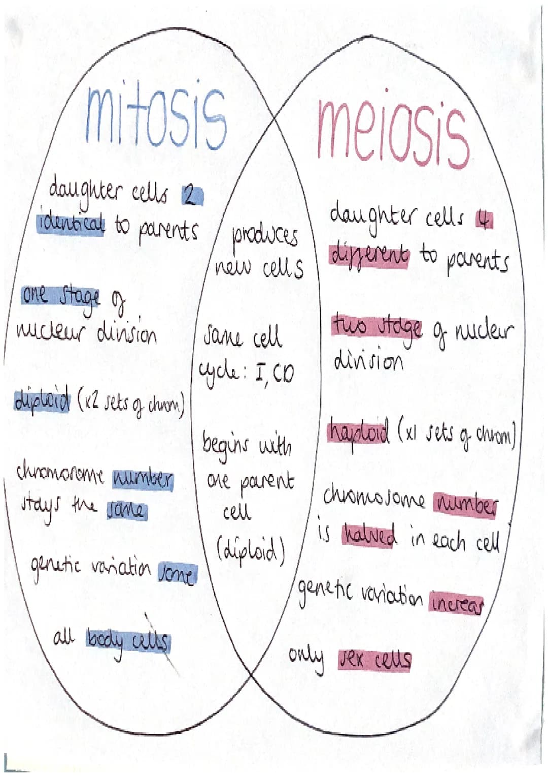 mitosis
meiosis
daughter cells 12
identical to parents produces dipperent to parents
daughter cells
new cells
lone stage of
nucleur division