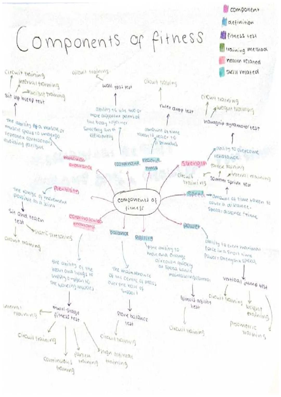 Understanding the Components of Fitness for AQA GCSE PE