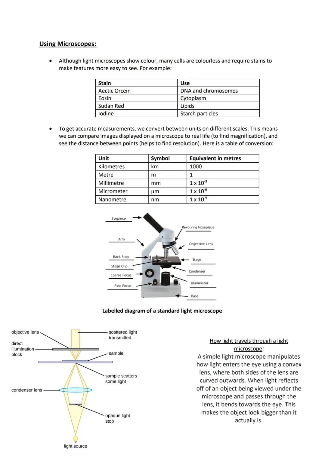 Biology - 2.1.1
Microscopy
Key Definitions and Equations:
Magnification:
How much bigger an image is from real life
Magnification = size of 