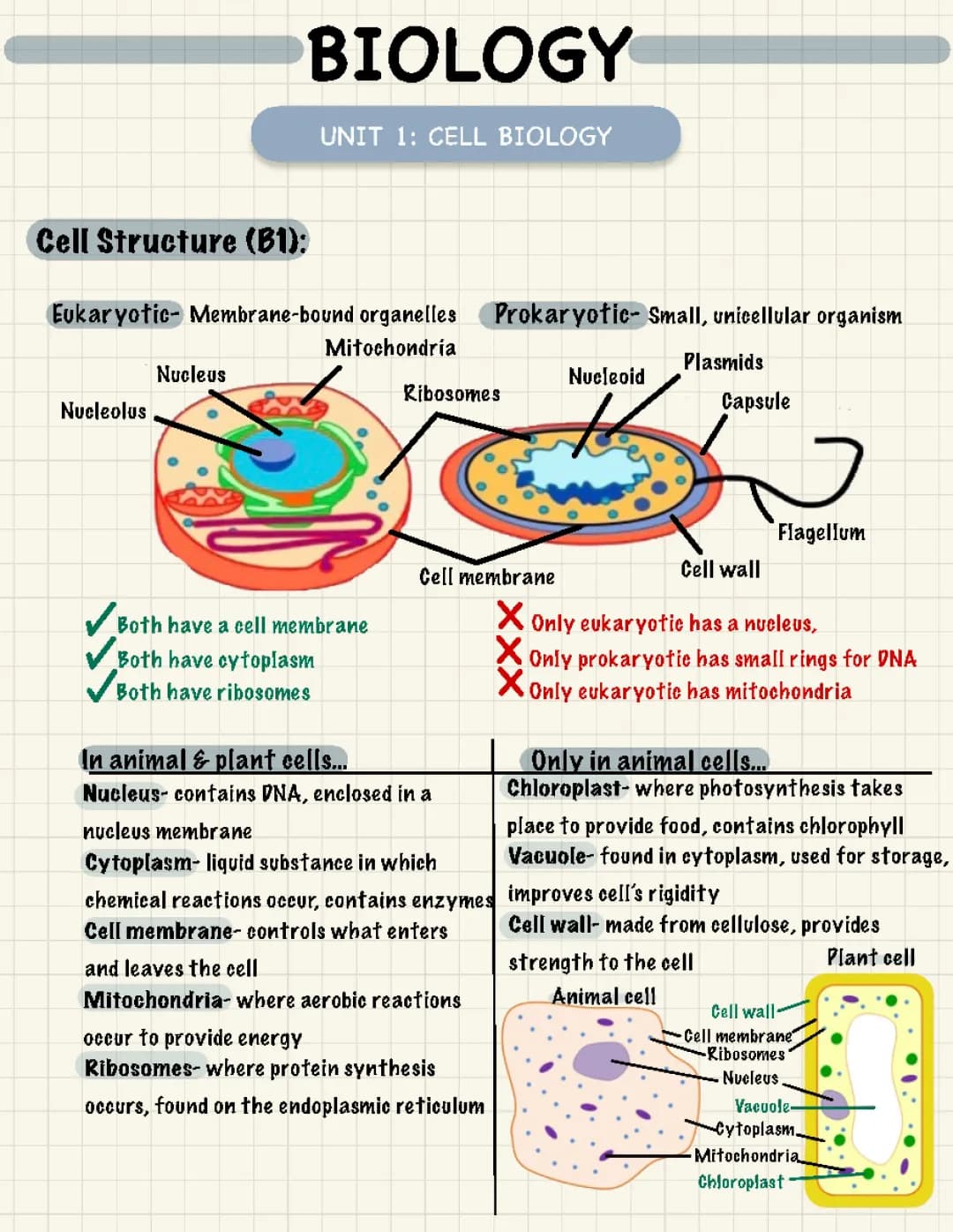 AQA GCSE Biology Unit 1 Revision Notes PDF Free Download