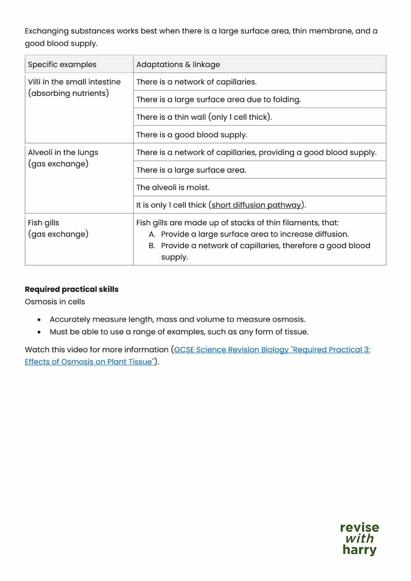 AQA Combined Science (Trilogy) - Higher
B2: Cell transport
Diffusion, osmosis, and active transport
Definition
Movement
of particles
Energy
