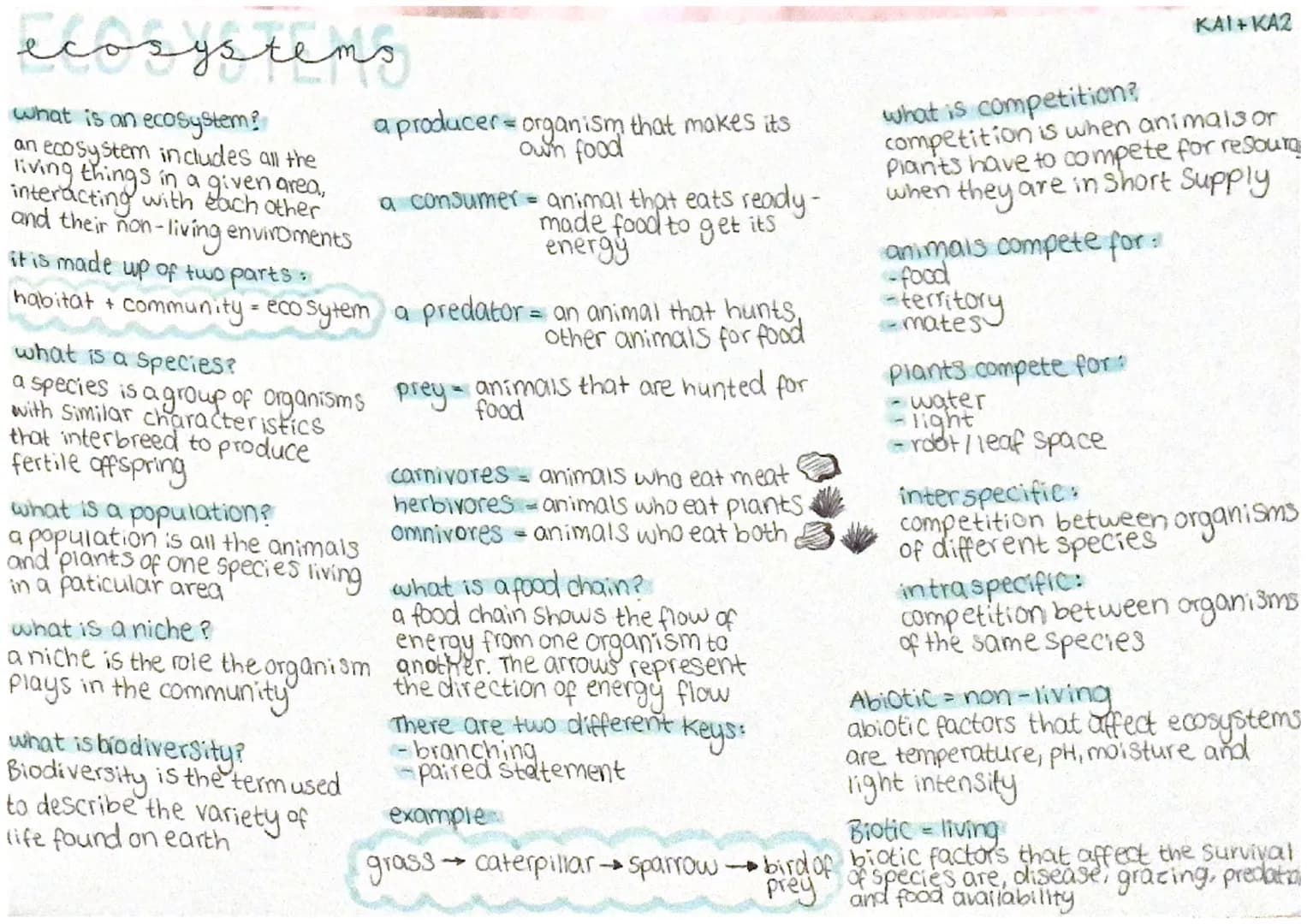 ecosystems
what is an ecosystem?
an ecosystem includes all the
living things in a given area,
interacting with each other
and their non-livi