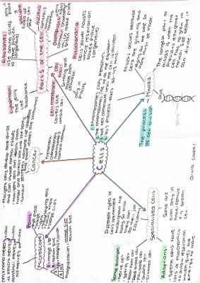 Know cells GCSE COMBINED SCIENCE AQA thumbnail