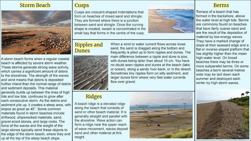 Depositional Landforms
Coastal Landscapes DEFINITION:
BEACHES
A beach is a landform alongside a body of water which consists of loose partic