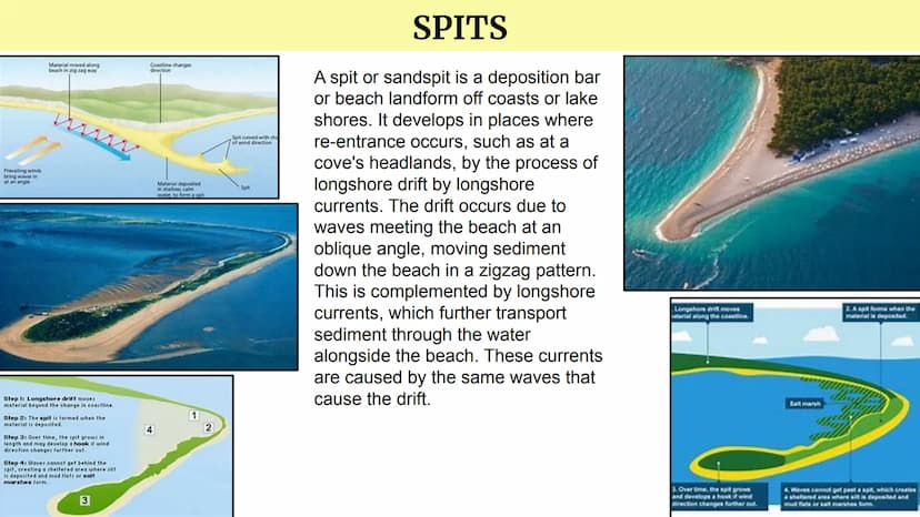 Depositional Landforms
Coastal Landscapes DEFINITION:
BEACHES
A beach is a landform alongside a body of water which consists of loose partic