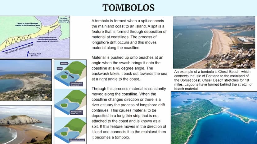 Depositional Landforms
Coastal Landscapes DEFINITION:
BEACHES
A beach is a landform alongside a body of water which consists of loose partic