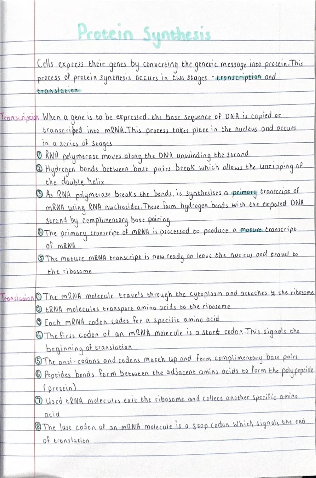 Gene Expression
Protein Synthesis
Gene Expression is the process of using information from
a
gene to synthesise
a protein
A cells
genotype
i