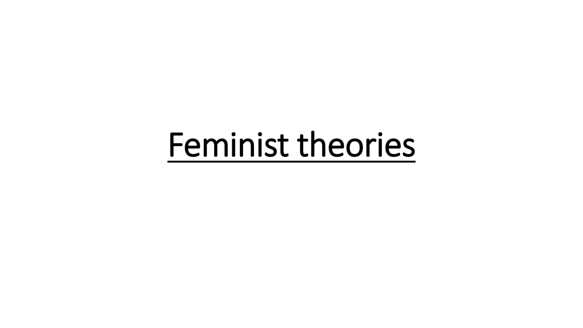 
<h2 id="overview">Overview</h2>
<p>Liberal feminists are concerned with achieving gender equality and ensuring that everyone in society has