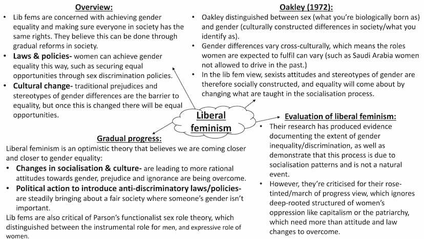 
<h2 id="overview">Overview</h2>
<p>Liberal feminists are concerned with achieving gender equality and ensuring that everyone in society has