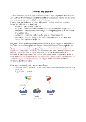 Know BIOLOGY 1.4 - Proteins and Enzymes  thumbnail